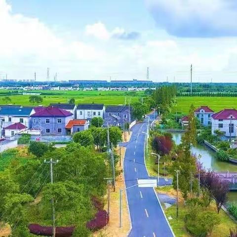 上海青浦有一条道路处处是美景