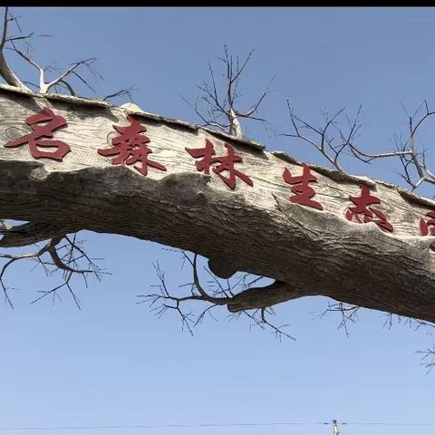 邂逅秋日的美好，遇见更好的 朵朵二班