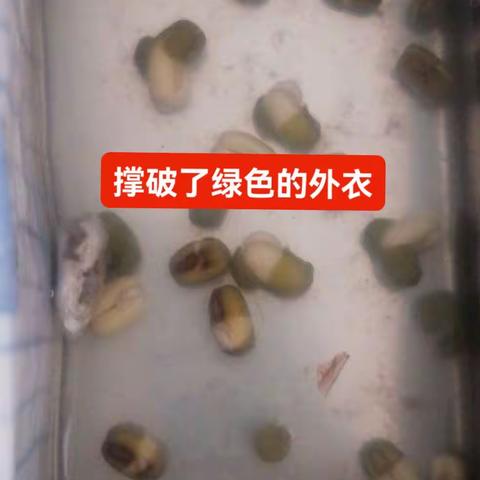中秋国庆双节愉快