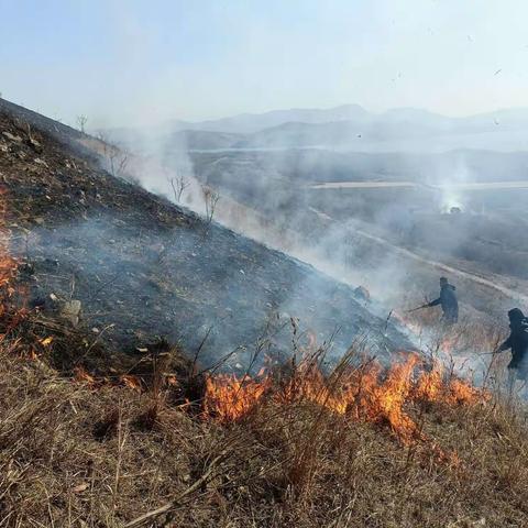 永葆红色精神——叶县常村籍现役军人协助中马村村民合力扑灭山火