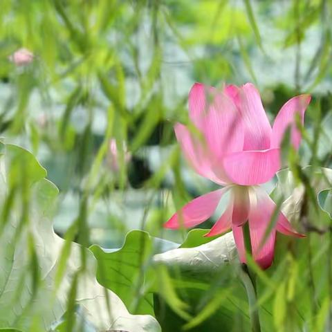 2018年暑假之旅—杭州篇