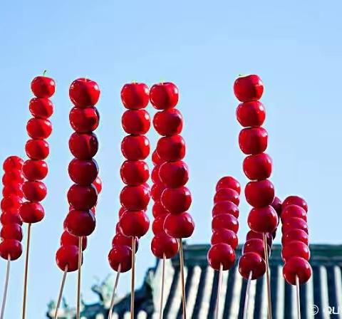 甜甜的冰糖葫芦🍡