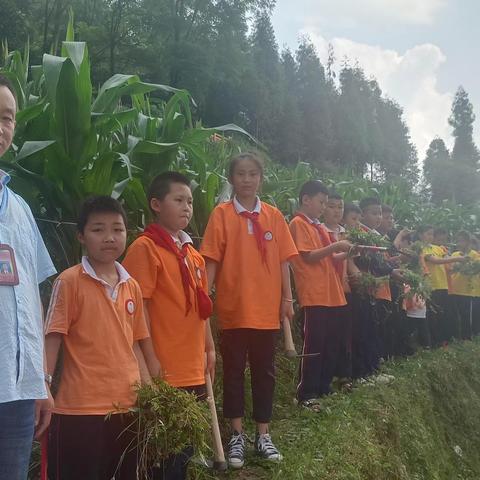 劳动中的美 ——蒲场镇儒溪小学劳动教育简报第二期