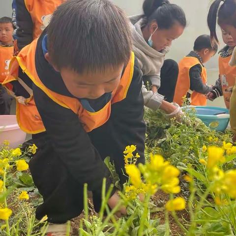 🌳六盘水市钟山区木果镇蒿枝幼儿园2023年春季学期——“我为校园添点绿”植树节活动🌲🌿