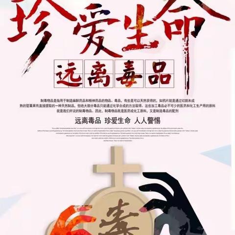 纯净校园，无毒最美---岩前中学开展“禁毒”主题教育活动