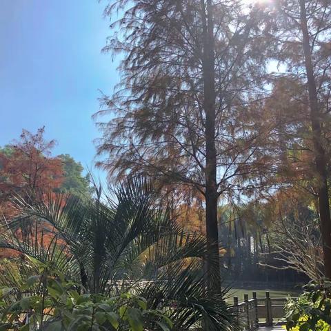 阳台山里笛声妖娆