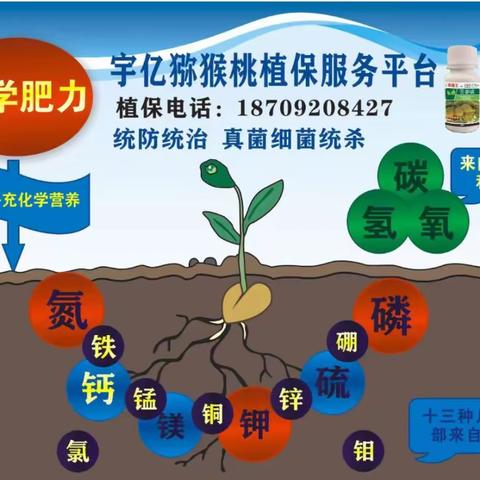 宇亿农业小田