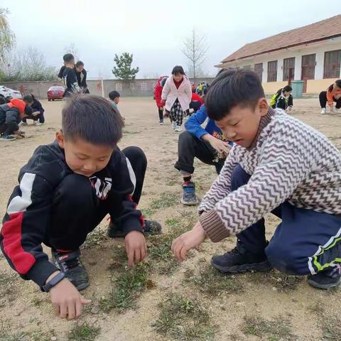 【简篇】【全环境立德树人】竹墩小学五一劳动节主题活动