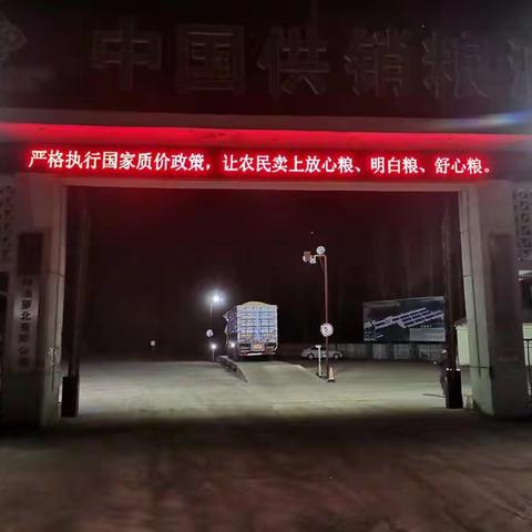 又是一年丰收季，秋粮收购正当时丨萝北公司2022年度政策性粮食收购工作正式启动