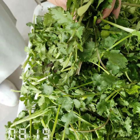 EA211餐厅异物挑选3月29日