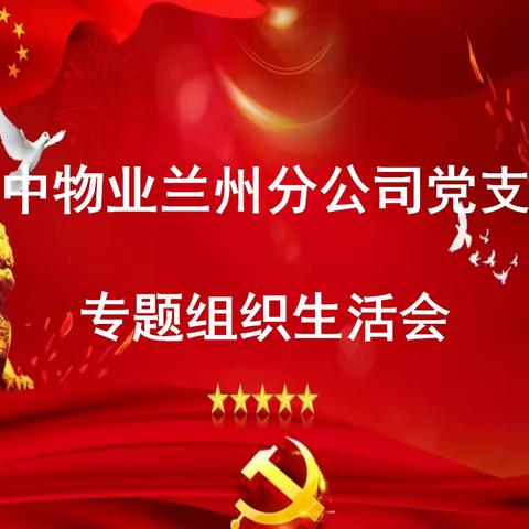 剖析自我  凝心铸魂    —新中兰州分公司党支部组织生活会