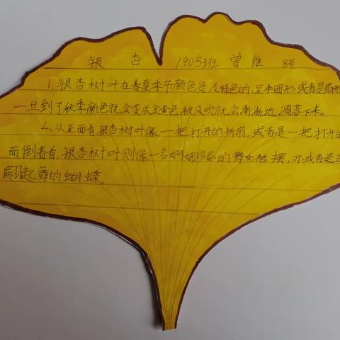 我帮植物写名片——金海小学1905班的植物卡