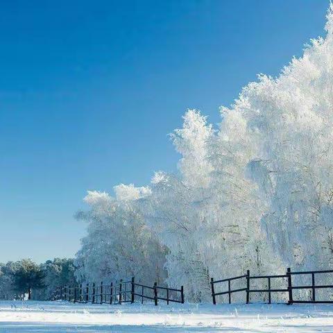 雪之初，童之趣——陵口中心幼儿园玩“雪”记