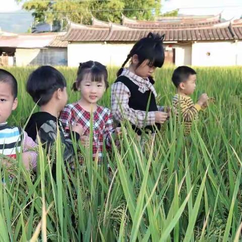 协同分享，研学共进——湖头第二中心幼儿园开展2020年秋季教研活动