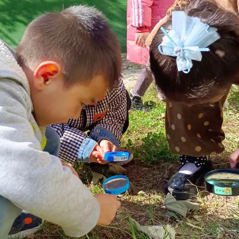 幼小科学衔接——别有“洞”天