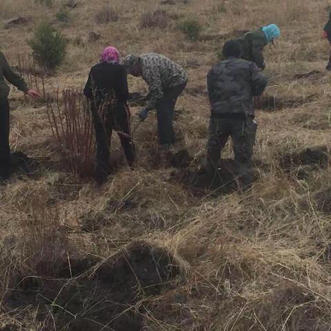 免渡河林场安全生产检查