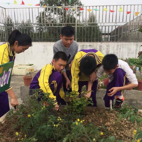 绿意盎然，关爱沁心——四会市实验学校国际部植物园、动物园建设活动