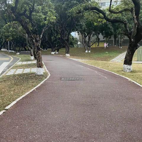 路