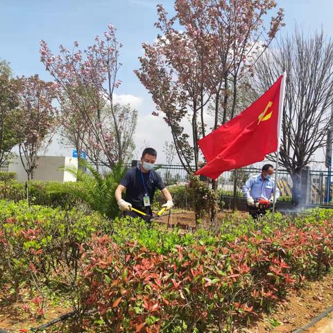 变身站区绿植“理发师”