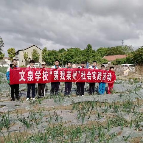 文泉学校“爱我莱州”初一博毅一班社会实践活动