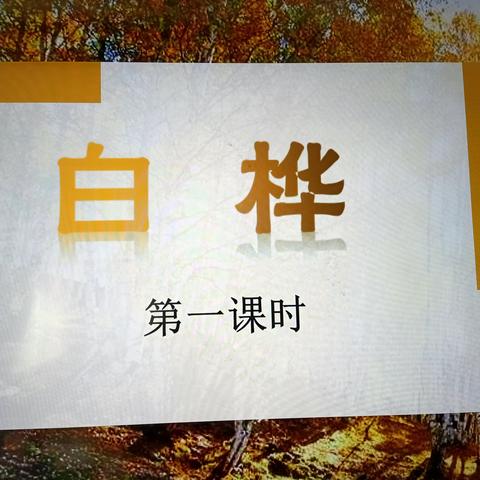 不负光阴    教学相长                ——记湖墩村小学教研活动