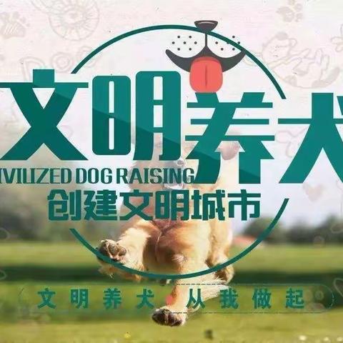 文明养犬  从我做起