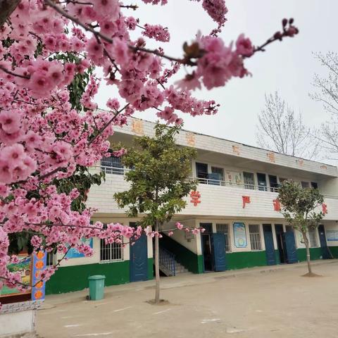 多彩延时课，用心助成长——朱曲镇米庄小学