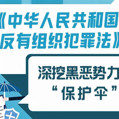 看这里！小编带你领略《反有组织犯罪法》！