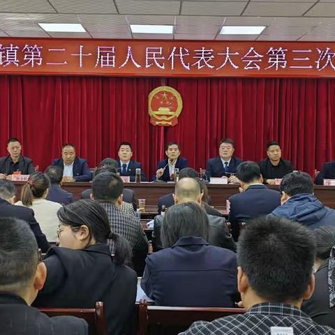 紫阳县界岭镇第二十届人民代表大会第三次会议胜利召开