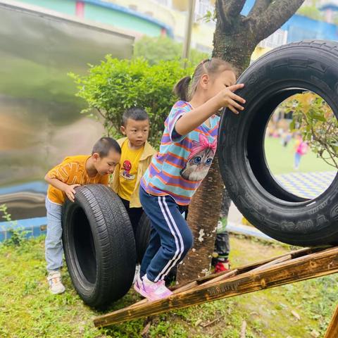 【丛林探险】——春晖幼儿园大二班6月17日活动分享