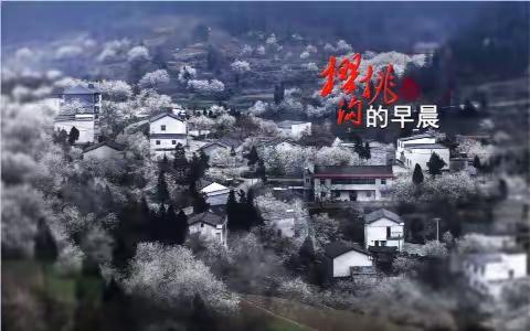 湖北十堰陨阳樱桃沟