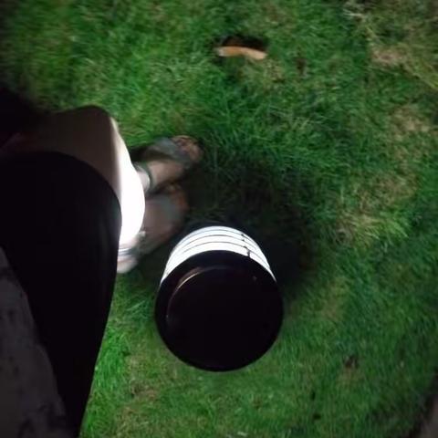 夜色中的雨绿