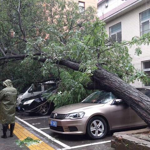 土门街道积极应对连续降雨天气 第一时间启动防汛预案