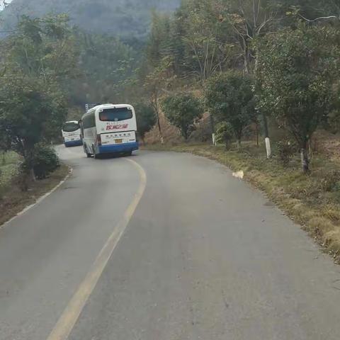 研学旅行：柃蜜小镇和黄袍山之行