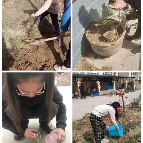 相逢植树节，爱在春天里——曹庄小学植树节活动