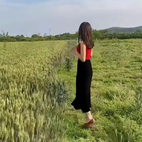 我向往自由的风