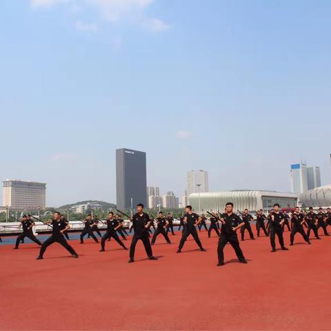 特警大队开展夏季实战大练兵坚守政区维稳一线