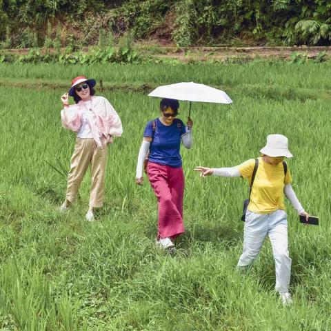 罗源农场一日游