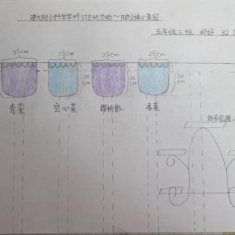 好姐的小菜园——建大附小科学学科STEM活动～～阳台立体小菜园五三班郑好