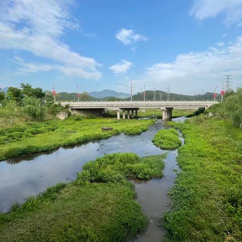 促进人与自然和谐共生是夯实中国式现代化的生态基石