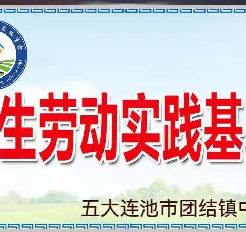 走进劳动基地 绿化美化校园——团结镇学校植树活动