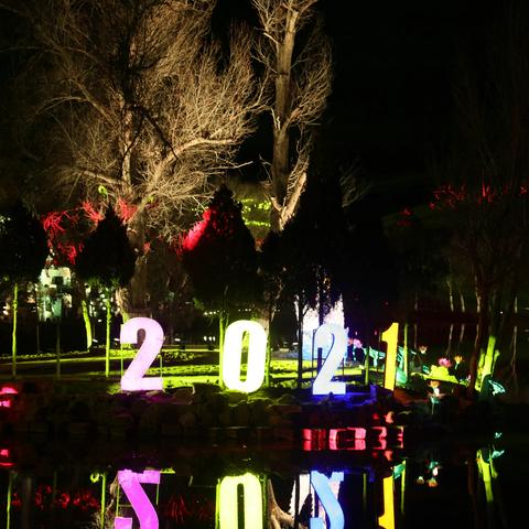 迎新春大型光影秀在张掖市甘泉公园震撼上演