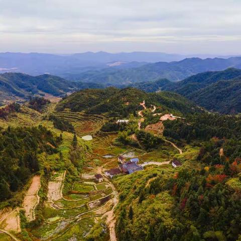 霄高李氏宗祠重建奠基仪式纪实