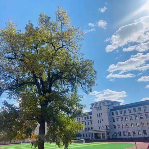 阅大千世界 读万卷芳华——盖州市实验小学课外阅读系列活动