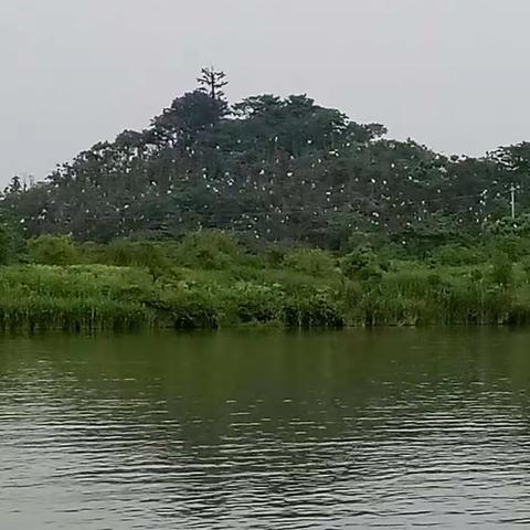 浙江考察纪实（一）●德清下渚湖