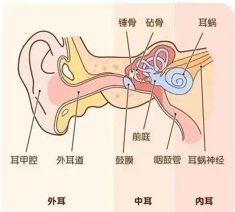 【孝幼·卫生保健】全国爱耳日—用心聆听 科学用耳