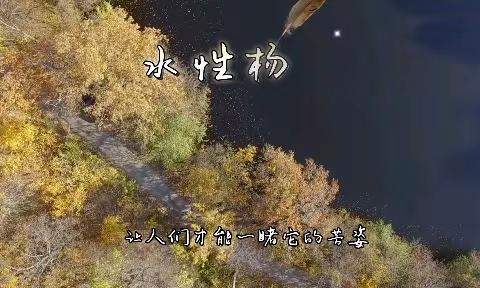 泸沽湖游之品“水性杨花”