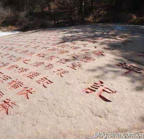 博山志公坪戏水休闲之旅