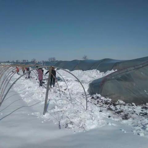 张桥镇党员干部风雪途中以实际行动暖民心