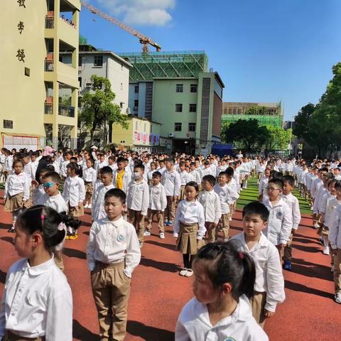 今天我们入队了！——十七小一年级入队仪式